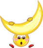 [luna.gif]