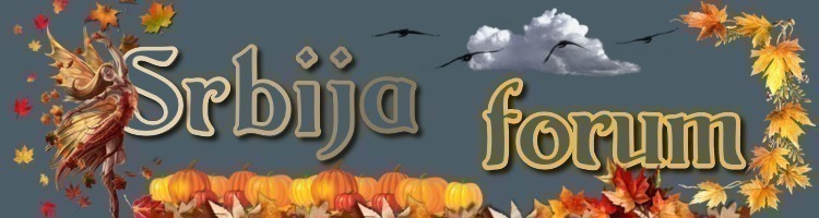Erotske price forum